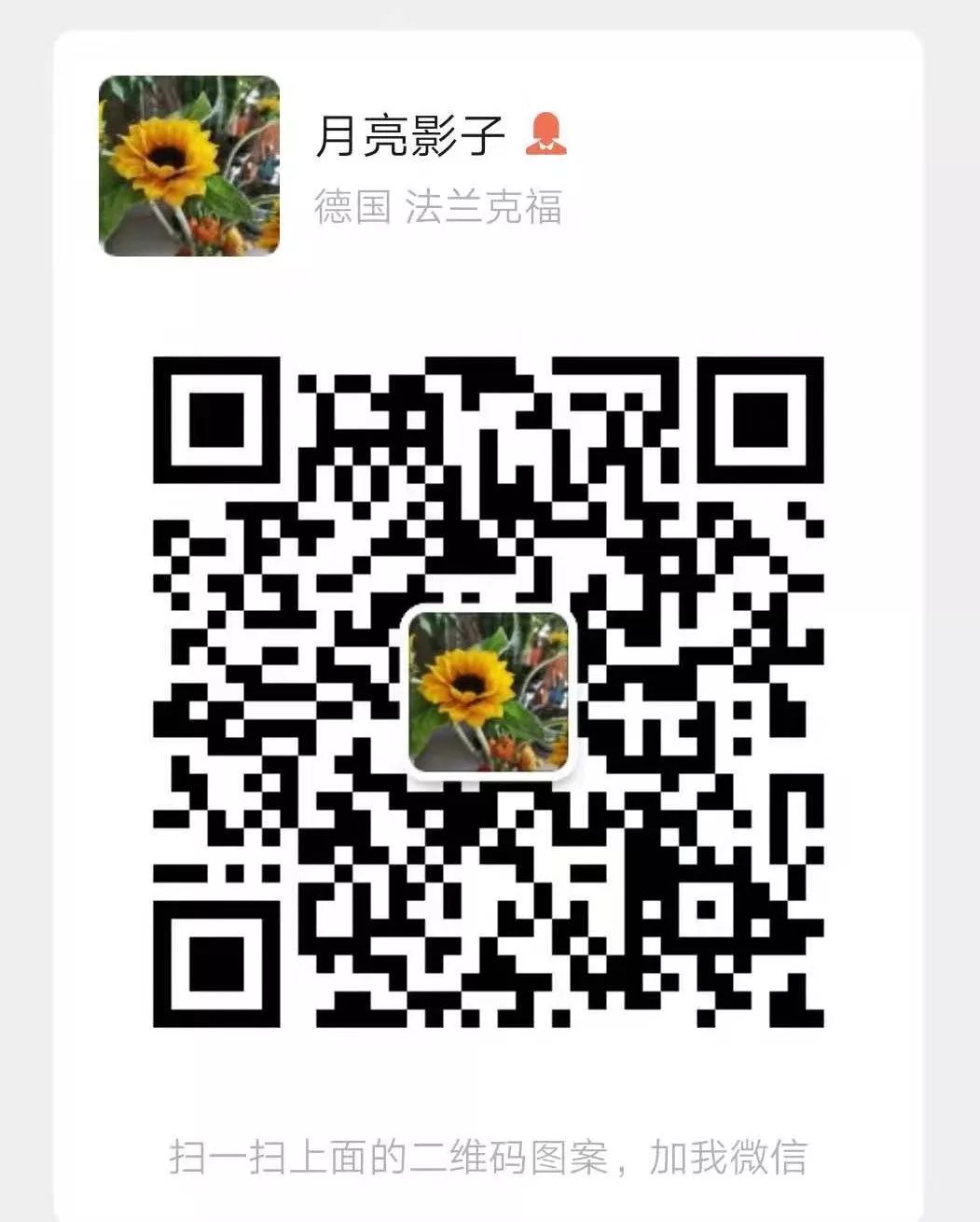 西安报.jpg