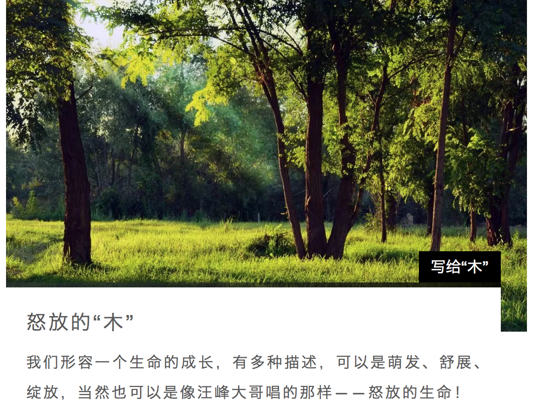 Screen Shot 2018-10-08 at 10.03.01 AM.png