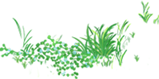 微信图片_20200613212440.png